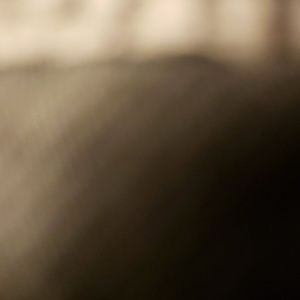 Meet your Posher, Norma